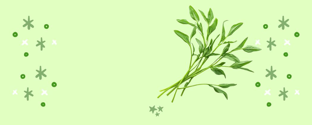 Untitled design (30)